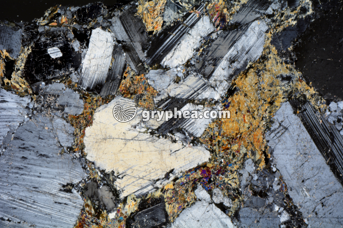 Métagabbro à Hornblende LPA x3,5 - gryphea.org